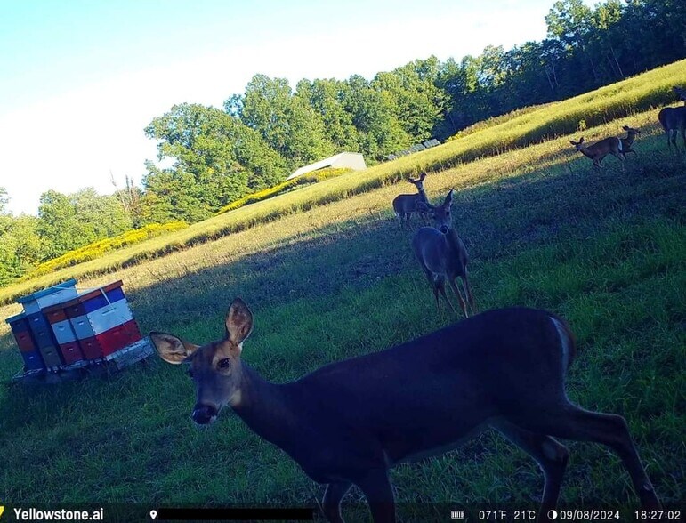 More Photos Of Bryant & SR 82 rd, Garrettsville Land For Sale