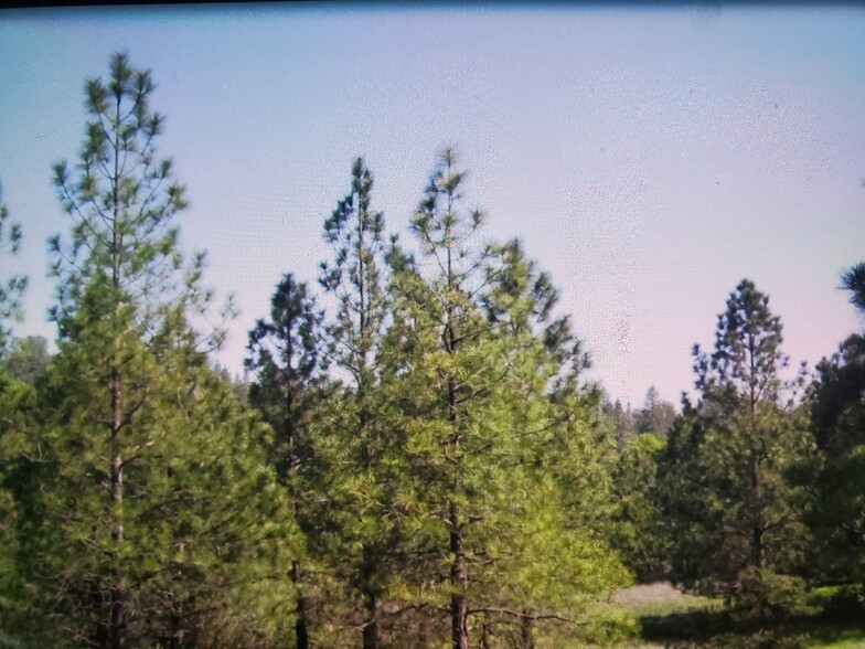 Primary Photo Of 513 Route 111, Hauppauge Land For Sale