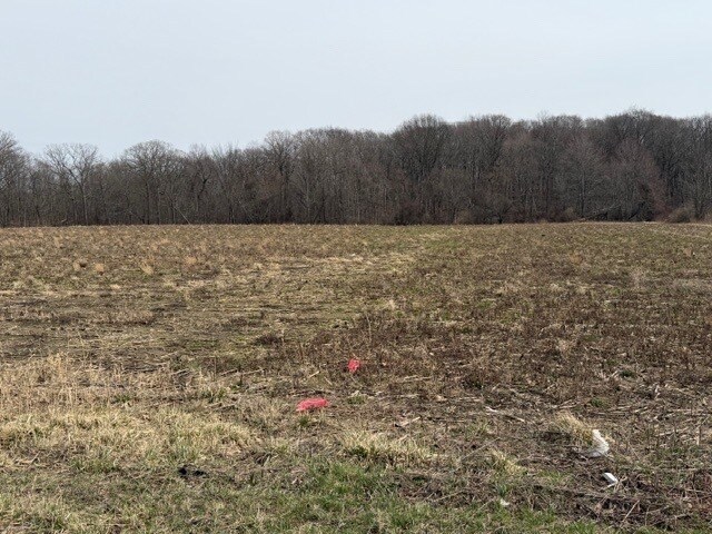 More Photos Of Approx. 4593 S Madison Rd, Madison Land For Sale