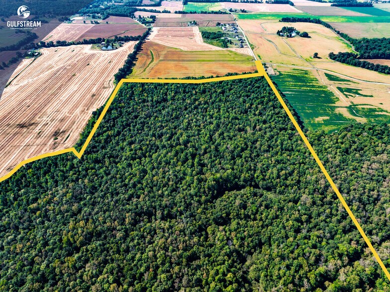 More Photos Of 5675 Millers Mill rd, Philpot Land For Sale