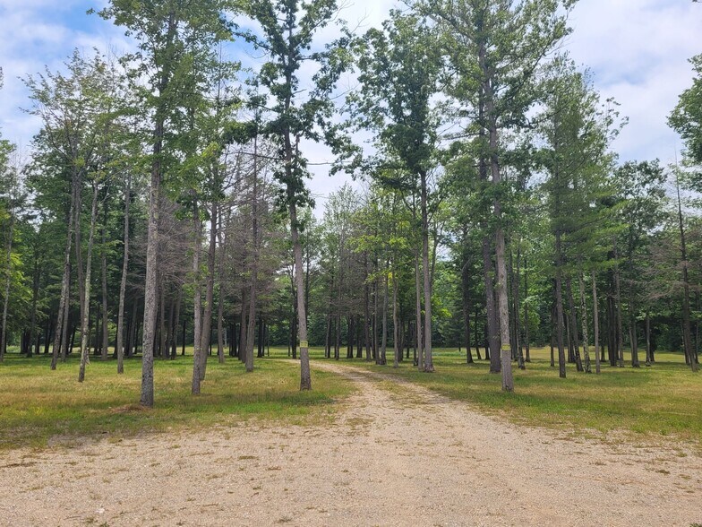 More Photos Of M-55 & M-37, Wellston Land For Sale