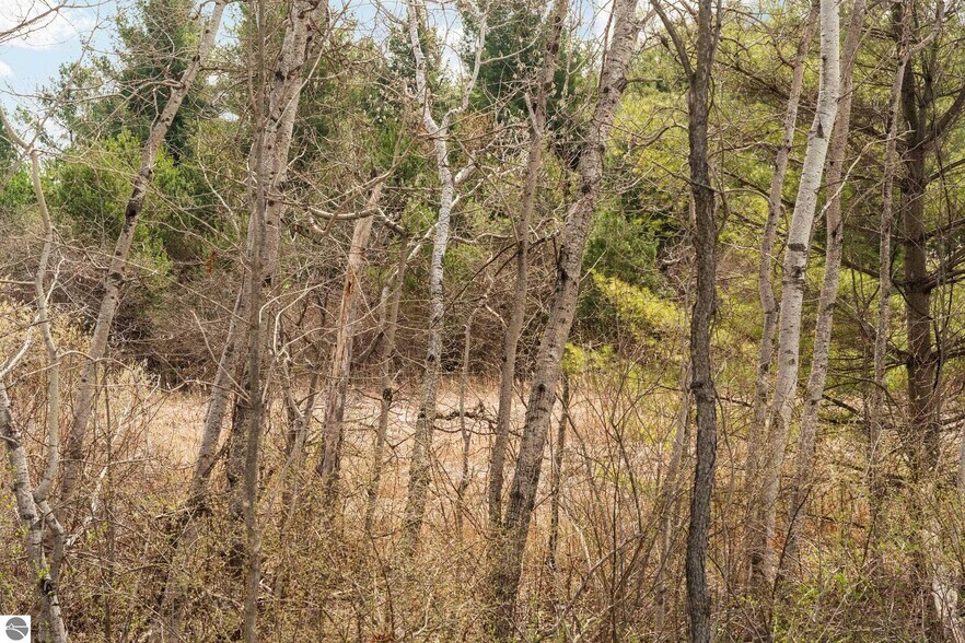More Photos Of 2051 Garfield Ave, Traverse City Land For Sale