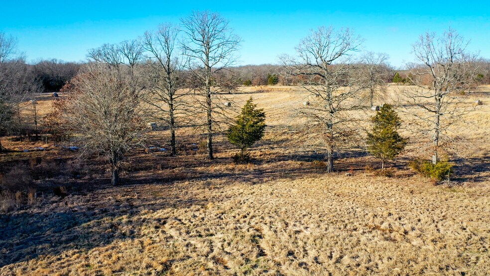 More Photos Of 1200 County 1255 rd, Detroit Land For Sale