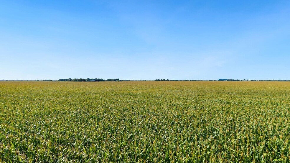 More Photos Of 4669 FM 973, Taylor Land For Sale