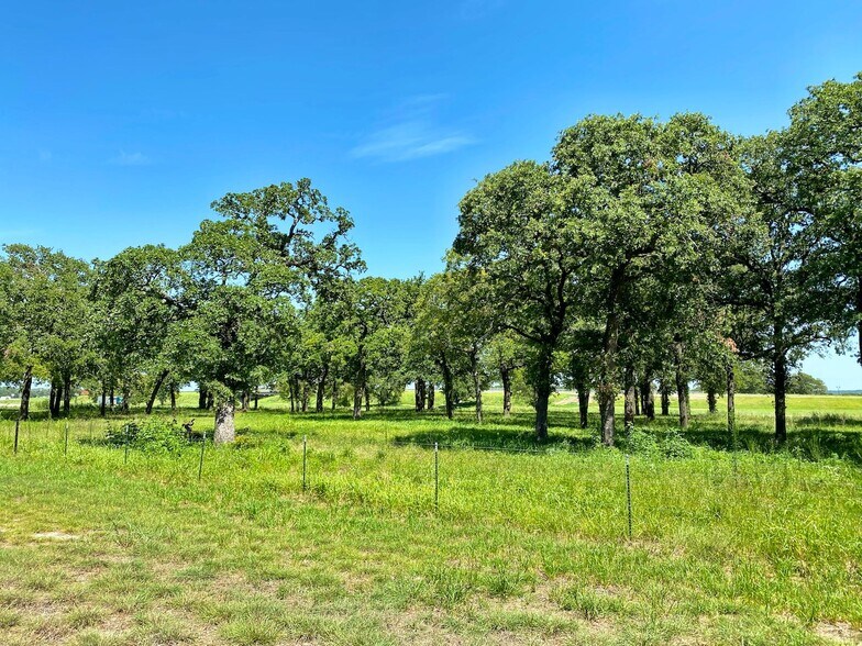 More Photos Of 22865 US Highway 77, Thackerville Land For Sale