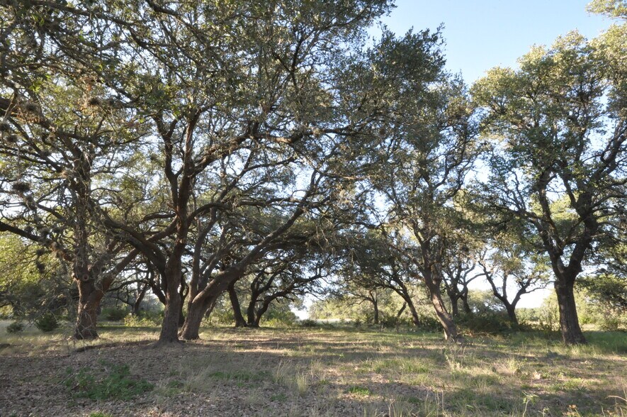More Photos Of 100 Farm To Market 165, Dripping Springs Land For Sale