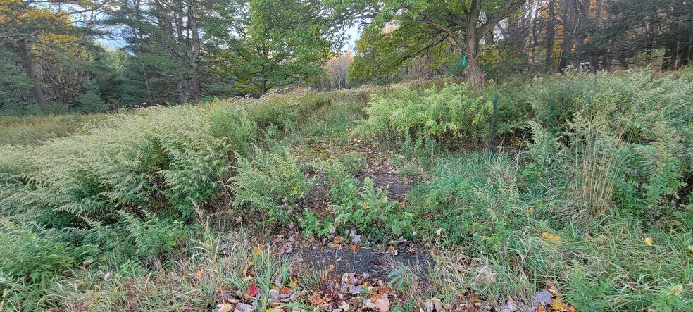 More Photos Of 1195 State Route 17B, Bethel Land For Sale