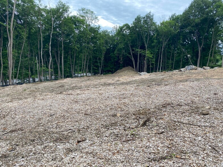 More Photos Of 3995 Danbury Rd, Brewster Village Land For Sale