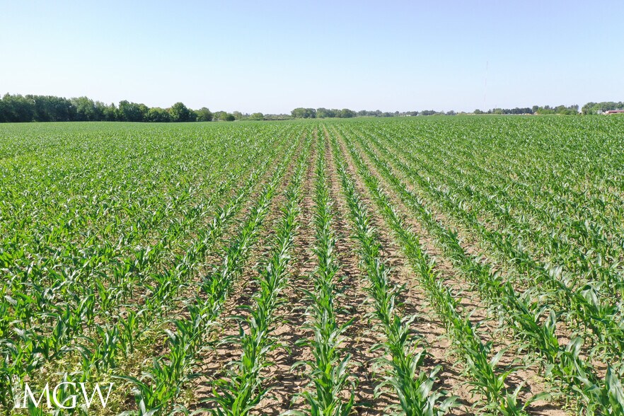 More Photos Of N 4250th Road, Mendota Land For Sale