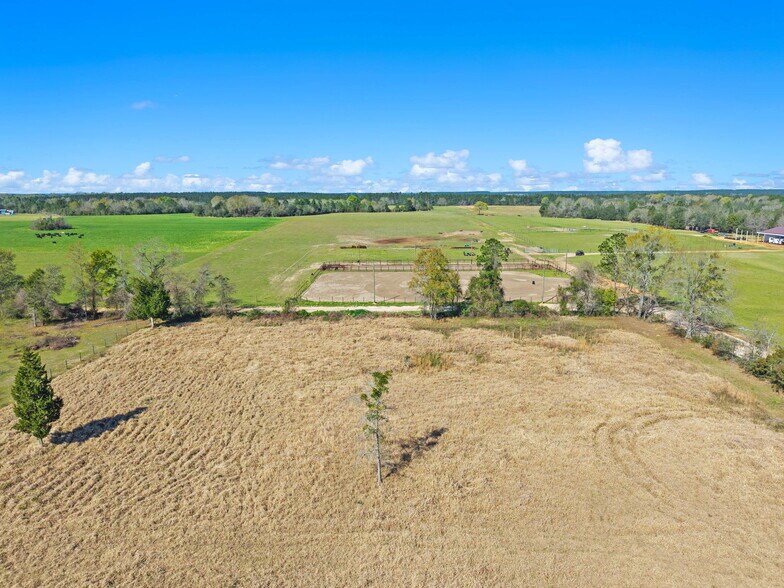 More Photos Of 33951 Lee Rd, Robertsdale Land For Sale