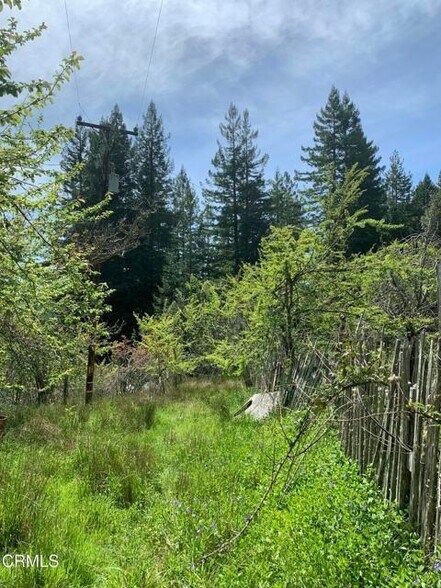 More Photos Of 23501 Branscomb Rd, Westport Land For Sale