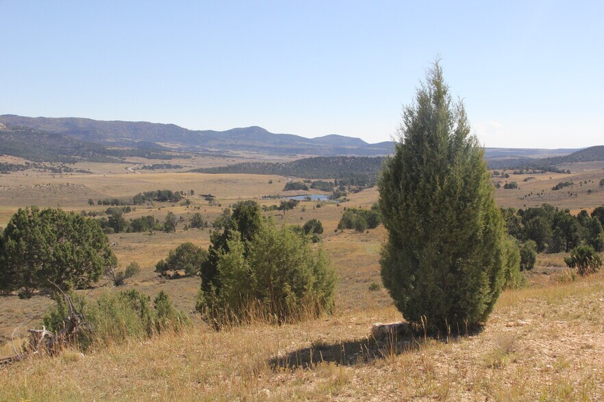 Primary Photo Of 20.22 acres, Alton Land For Sale