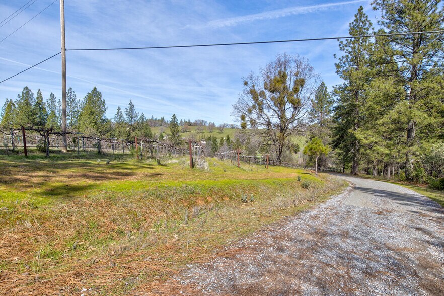 More Photos Of 4771 Greenhills Rd, Placerville Winery Vineyard For Sale