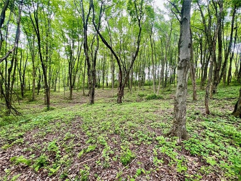 Primary Photo Of 953 Perry Hwy, Harmony Land For Sale