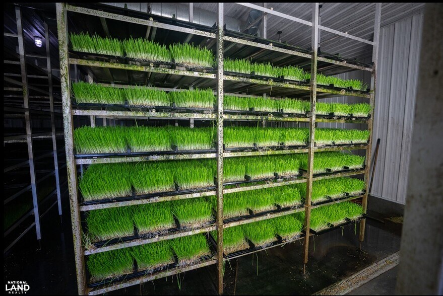 More Photos Of 178 Oak Creek Ln, Bland Land For Sale