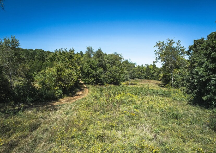 More Photos Of 4263 County Road 1, Steelville Land For Sale