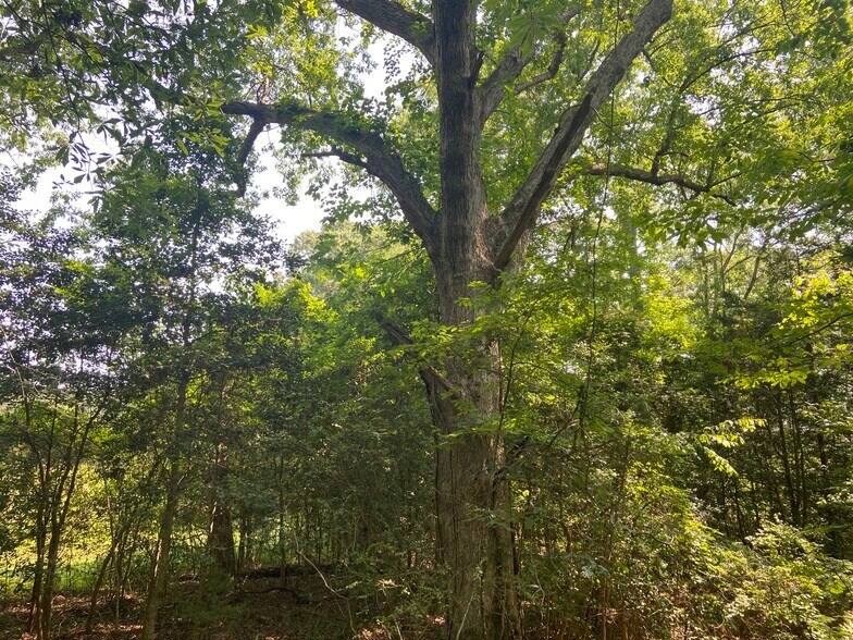 More Photos Of Terry Shop Rd, Fountain Inn Land For Sale