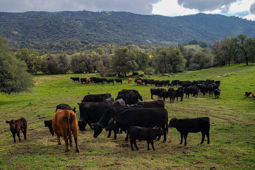 More Photos Of Dry Creek Drive, Badger Land For Sale