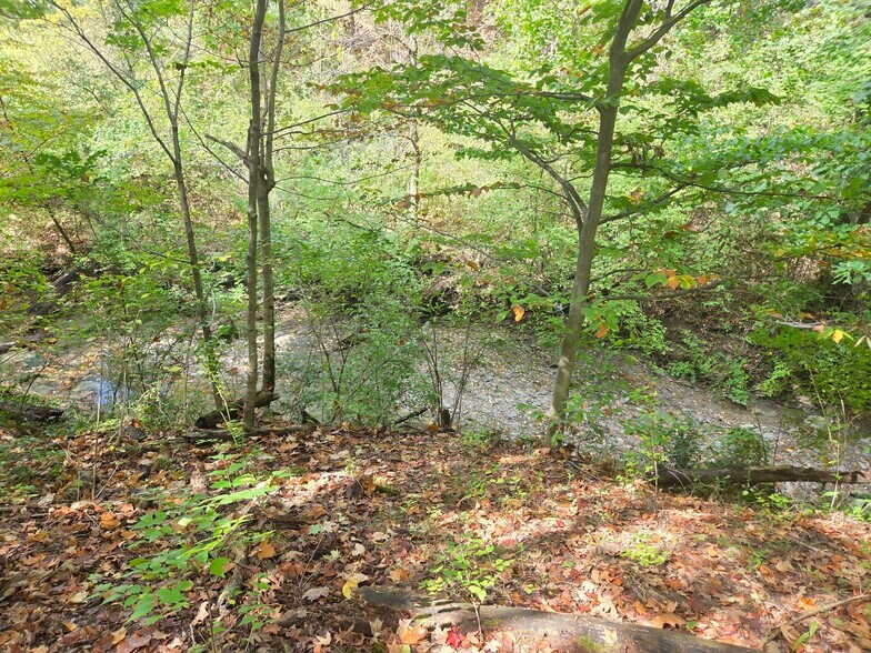 More Photos Of 0 Beecher Crossing Rd N, Gahanna Land For Sale