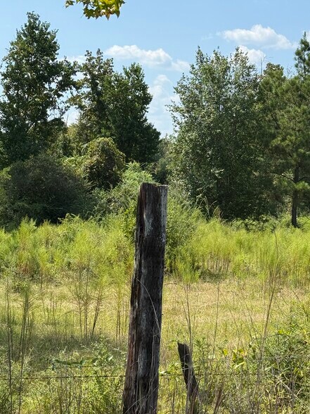 More Photos Of 0 ALEX Rd, Gloster Land For Sale