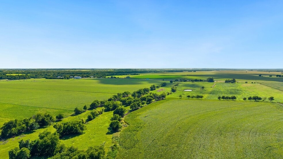 More Photos Of 4669 FM 973, Taylor Land For Sale