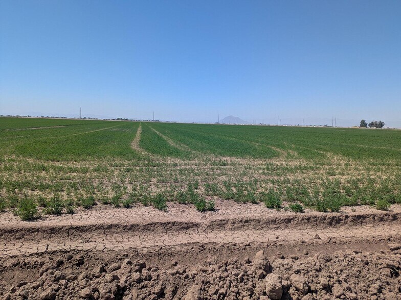 More Photos Of ,  Land For Sale