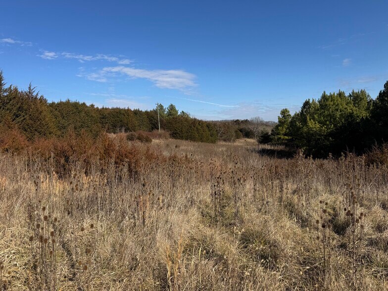 More Photos Of 461 Thunderbird Rd, Bentonville Land For Sale