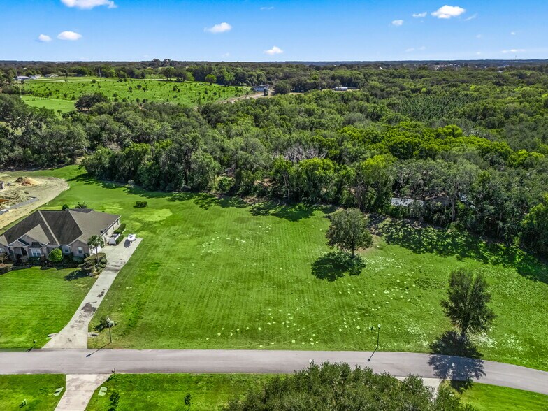 More Photos Of SE 156th Lane, Weirsdale Land For Sale