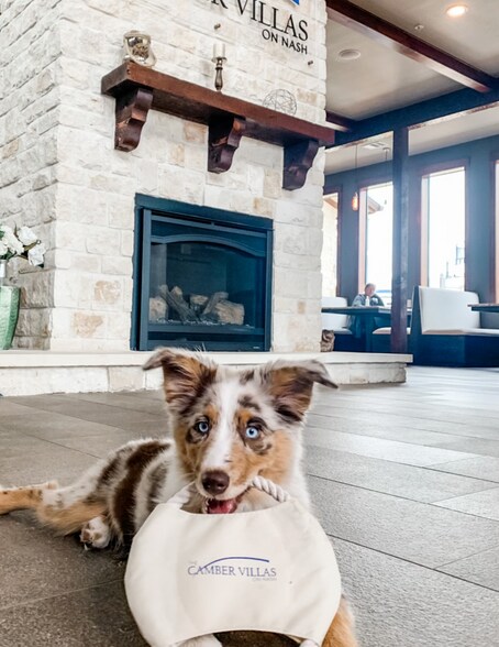 More Photos Of 2888 Nash St, Bryan Apartments For Sale