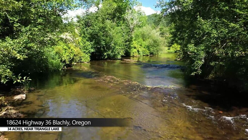 Primary Photo Of 18624 Highway 36, Blachly Land For Sale