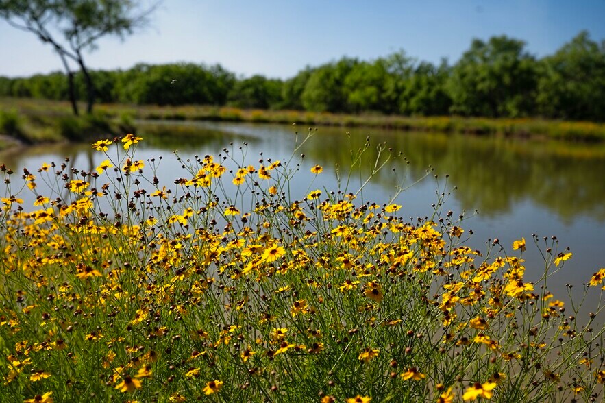 More Photos Of 141 S Private Road 1026, Kingsville Land For Sale