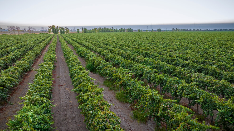 More Photos Of TFC Ranch, Lodi Land For Sale