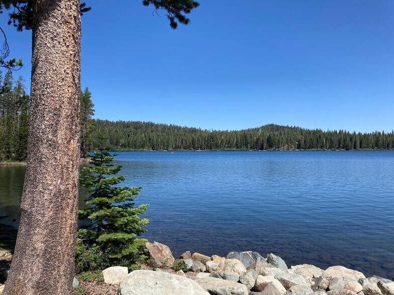 More Photos Of 7582 Buck Brush, Portola Hotel For Sale