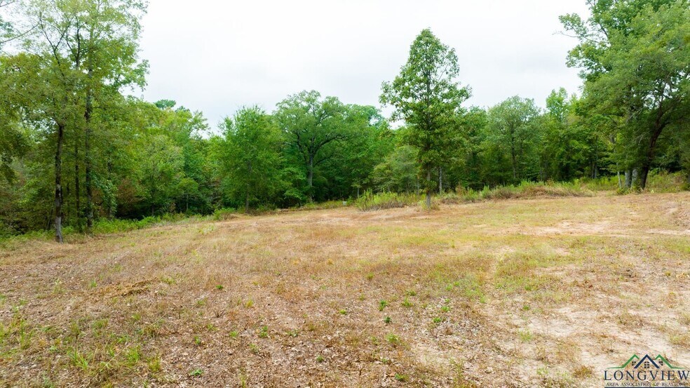 More Photos Of TBD US 259, Longview Land For Sale
