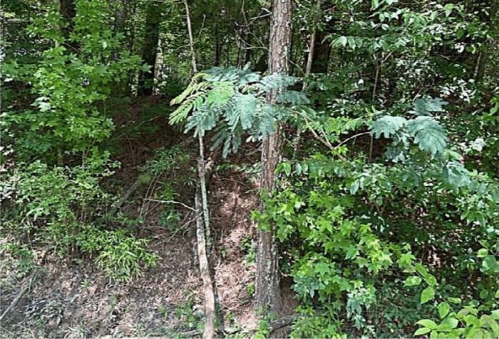 More Photos Of Jimmie Mayfield Blvd Fayetteville, GA 30215 United States, Fayetteville Land For Sale