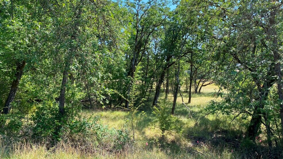 More Photos Of 1219 Junker, Roseburg Land For Sale