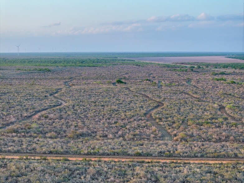More Photos Of Las Brisas Road, Rio Grande City Land For Sale