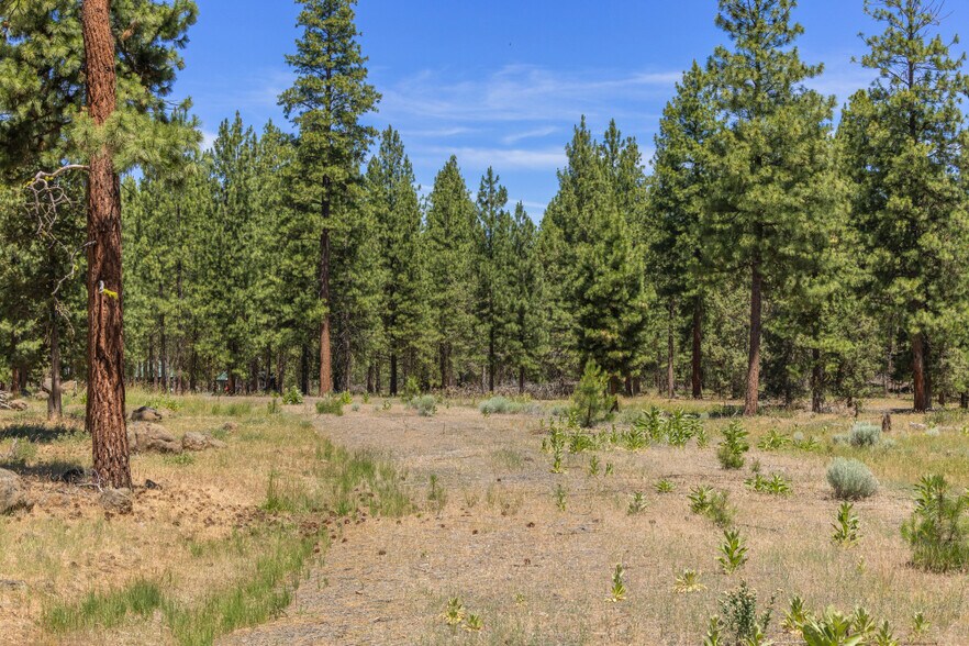 More Photos Of 0 Blue Wing Street, Keno Land For Sale
