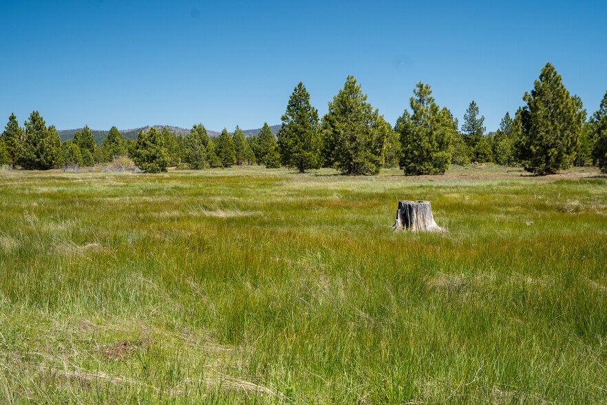 More Photos Of 000 000 Delwood Street, Westwood Land For Sale