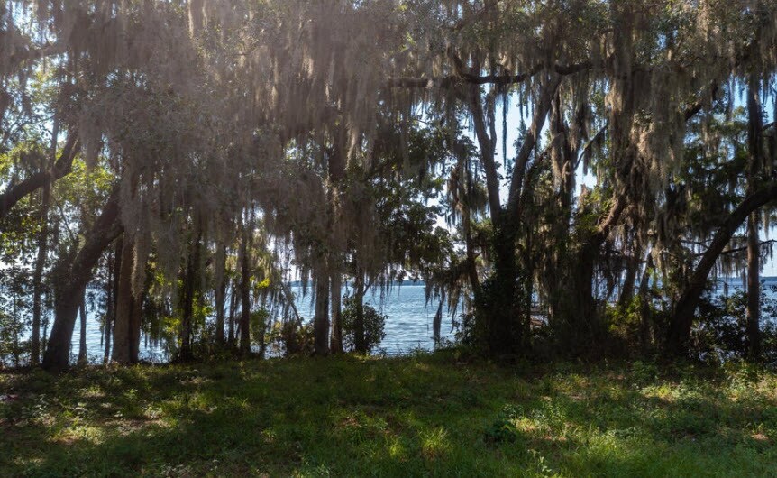 More Photos Of 254 Saint Johns Dr, Palatka Land For Sale
