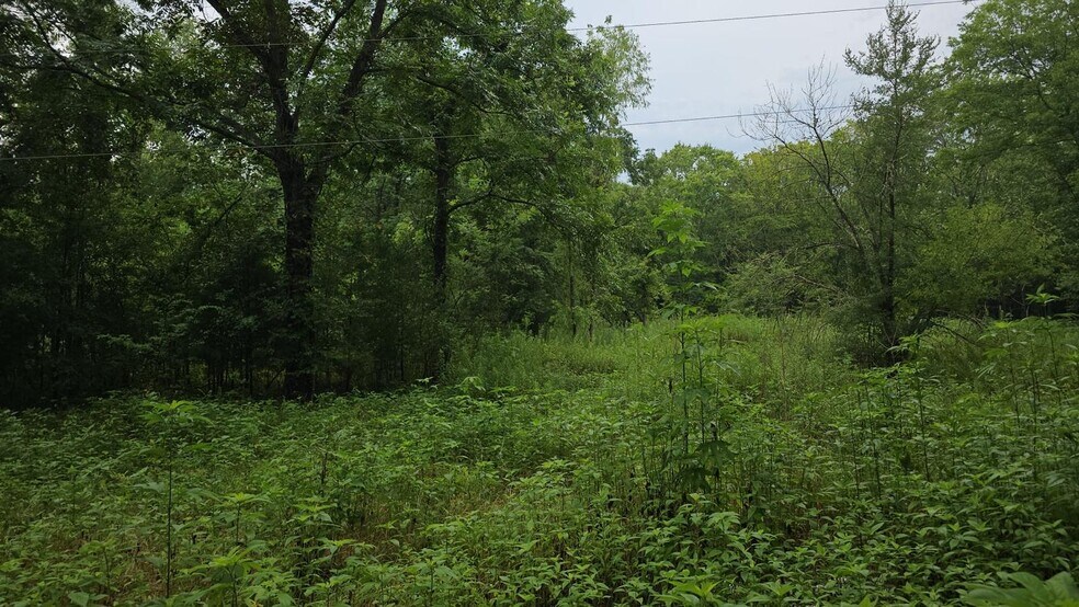 More Photos Of 248 Briar Hill Ln, Coldspring Land For Lease