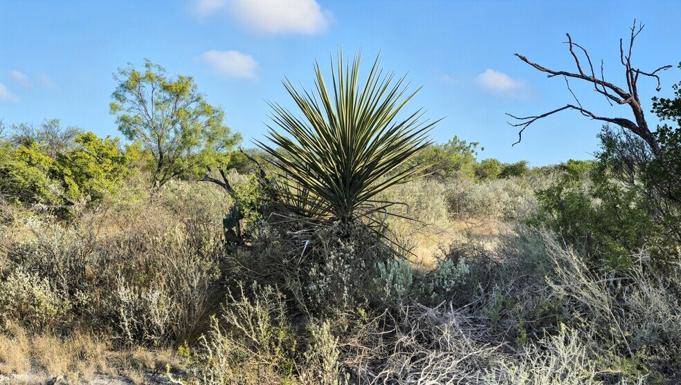 More Photos Of 000 Ranch to Market 3008, Brackettville Land For Sale