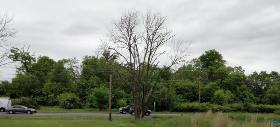 More Photos Of 0 Rt 100, Bechtelsville Land For Sale