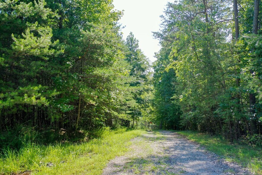 More Photos Of 8AC Lola Ln, Pilot Mountain Land For Sale
