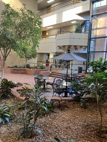 More Photos Of 5555 Peachtree Dunwoody Rd NE, Atlanta Medical For Lease