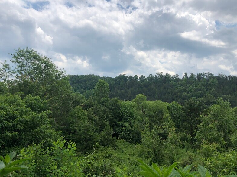 More Photos Of Ridgewood Dr, Blue Ridge Land For Sale