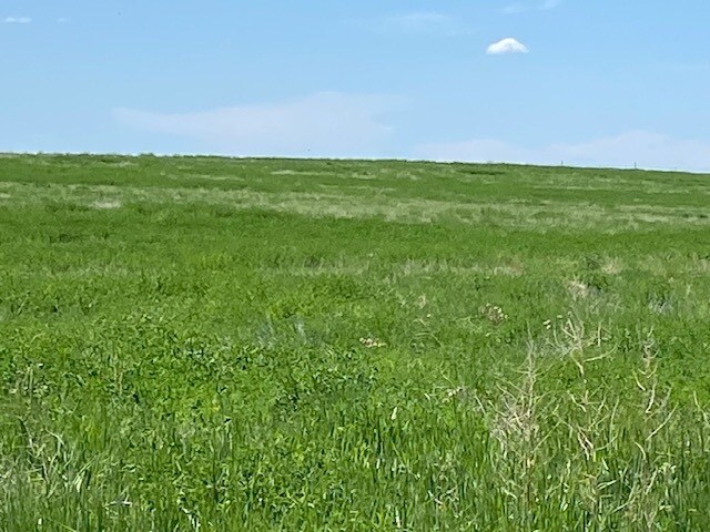 More Photos Of 29392 239th St, Vivian Land For Sale