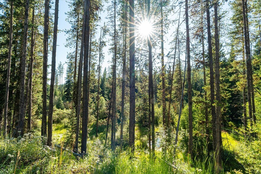 More Photos Of Nhn Logan Creek Road, Kila Land For Sale