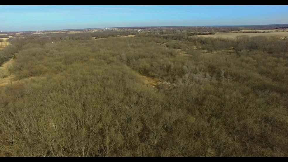 More Photos Of 19209 Pflumm Rd, Spring Hill Land For Sale