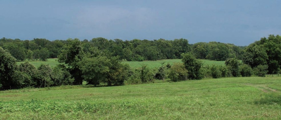 More Photos Of 18121 TX-105, Plantersville Land For Sale